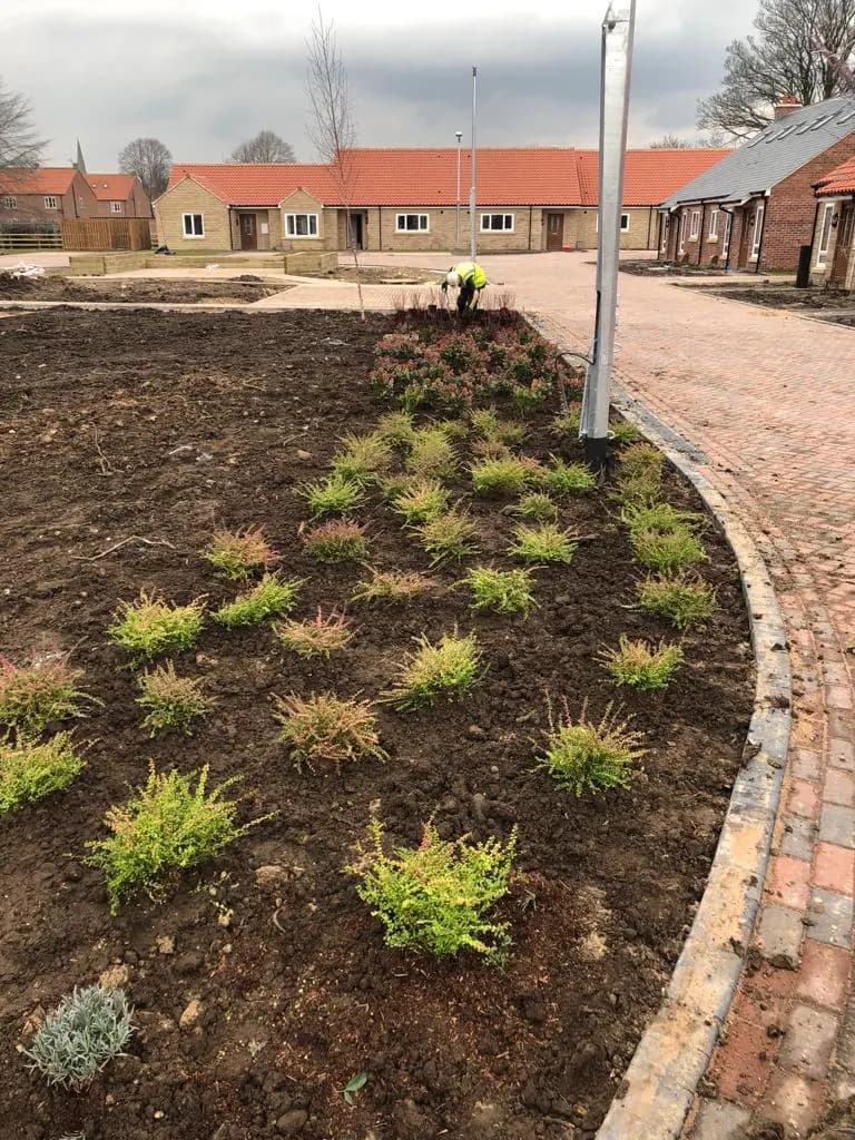 Green Scene Commercial Services