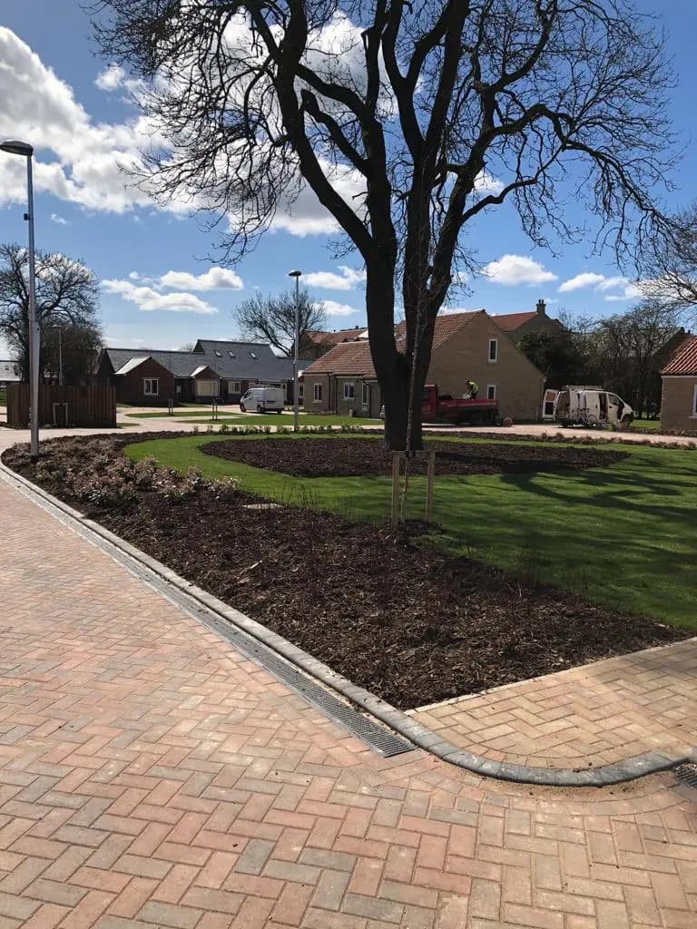 Green Scene Commercial Services