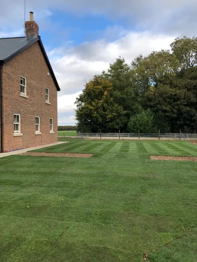 Green Scene Turfing Services