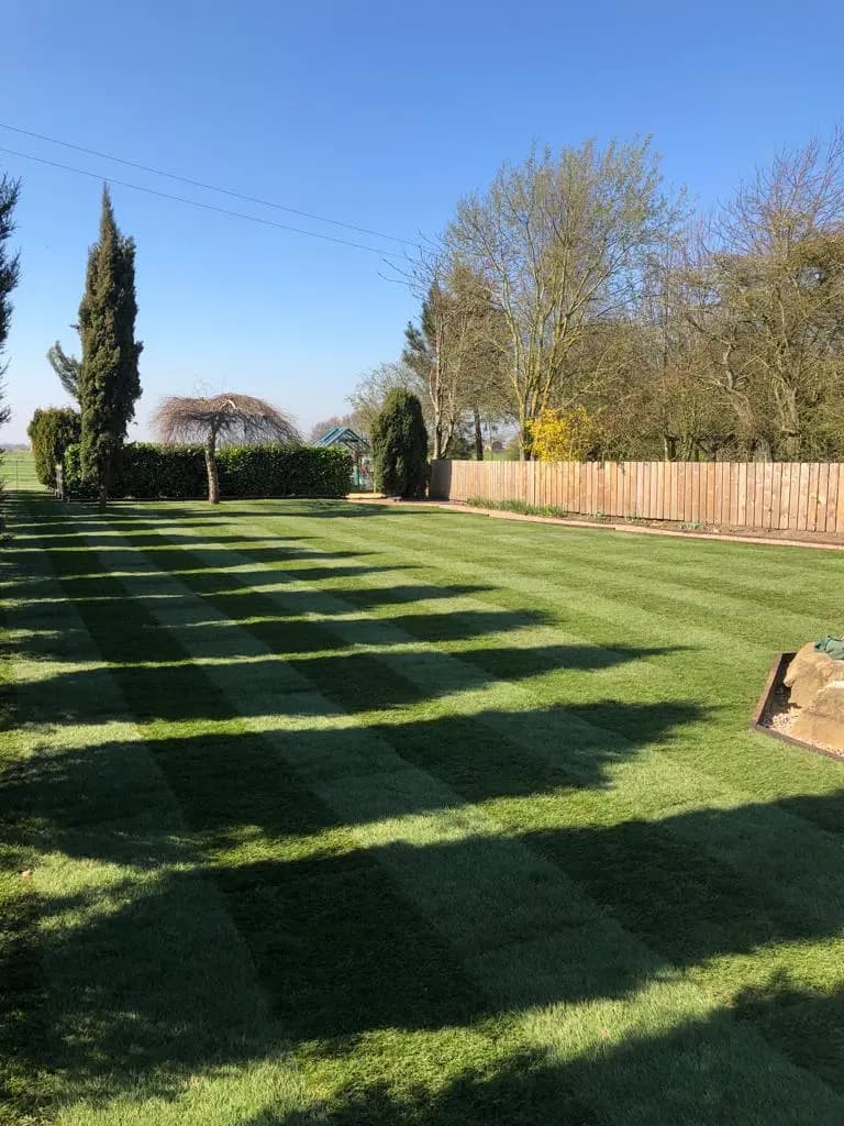 Photo of turfing services.