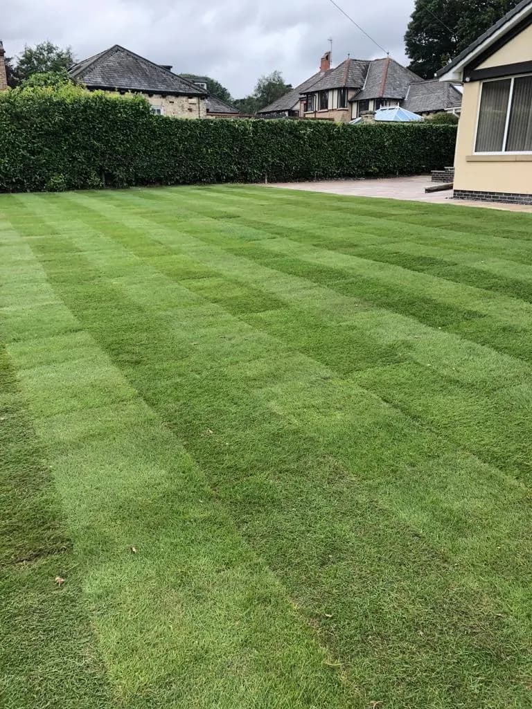 Green Scene Turfing Services