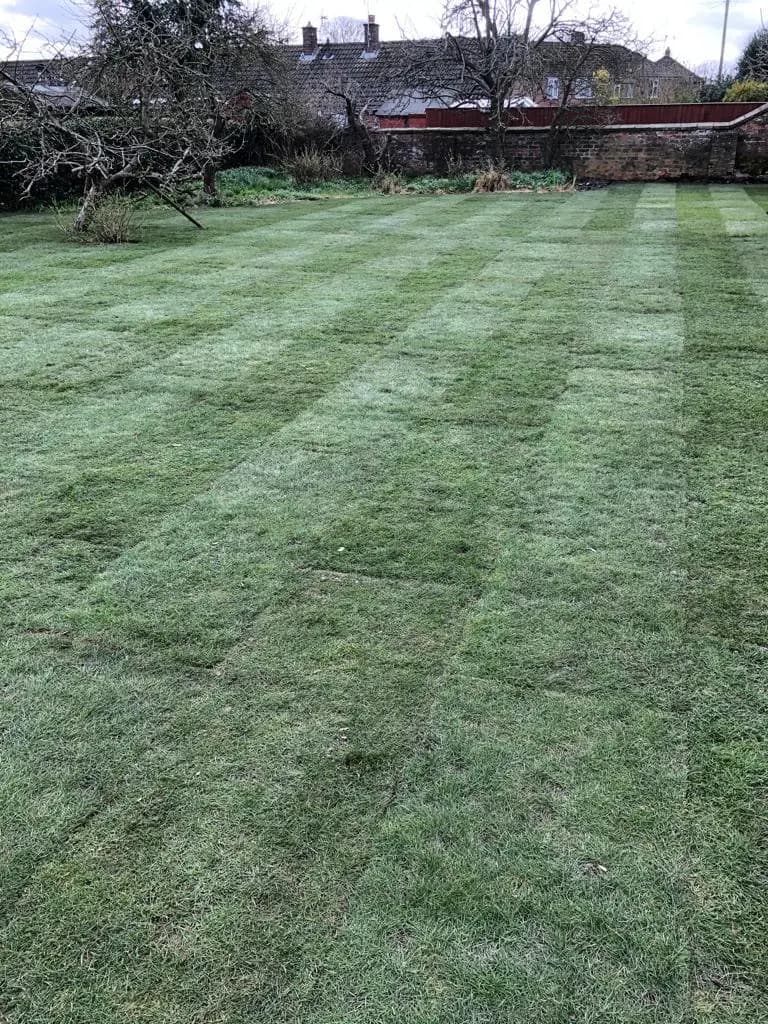 Green Scene Turfing Services