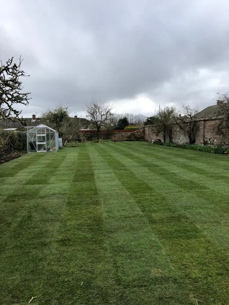 Green Scene Turfing Services