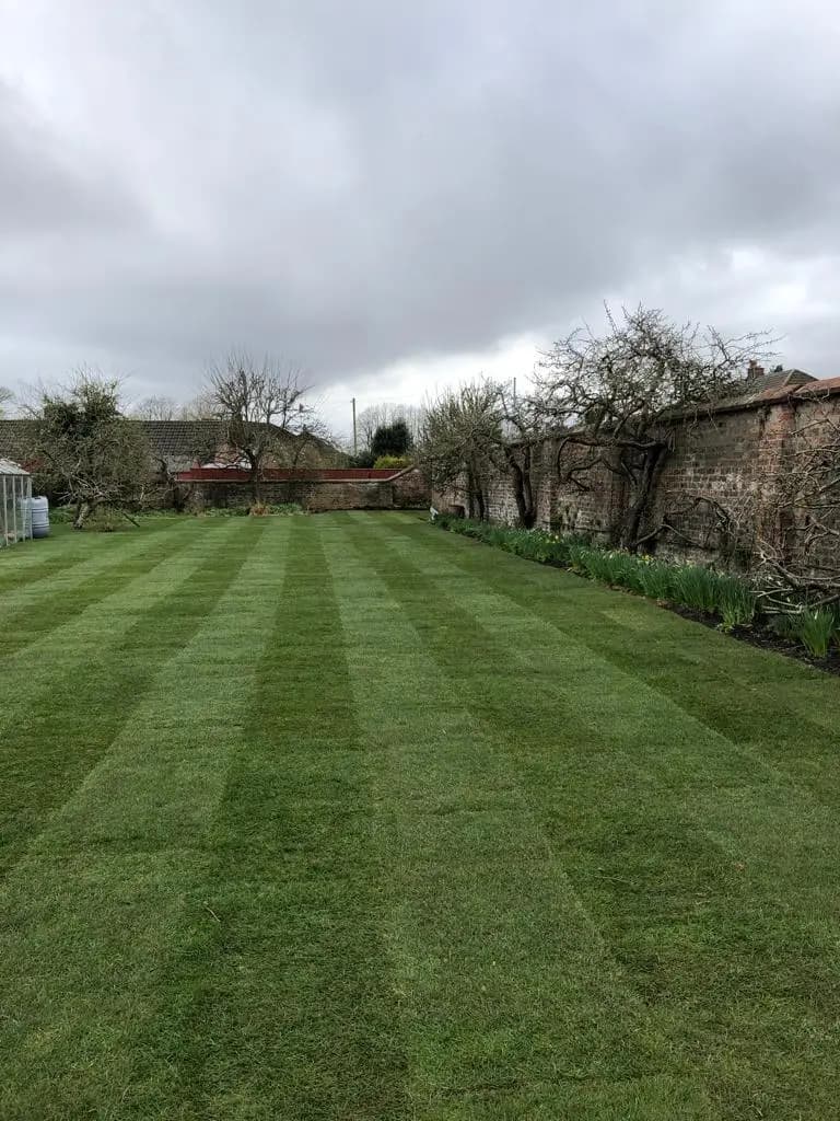 Green Scene Turfing Services