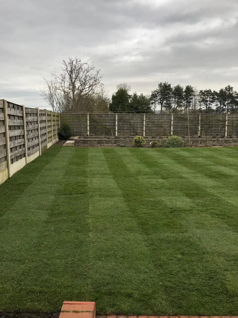 Green Scene Turfing Services