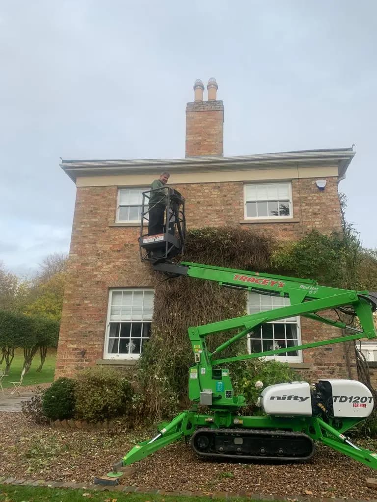 Green Scene Maintenance Services