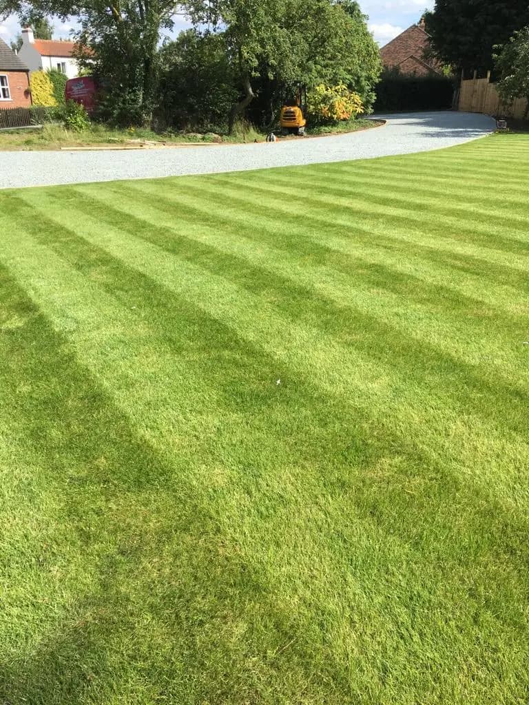 Green Scene Maintenance Services