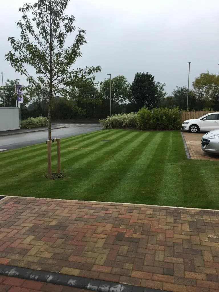 Green Scene Maintenance Services