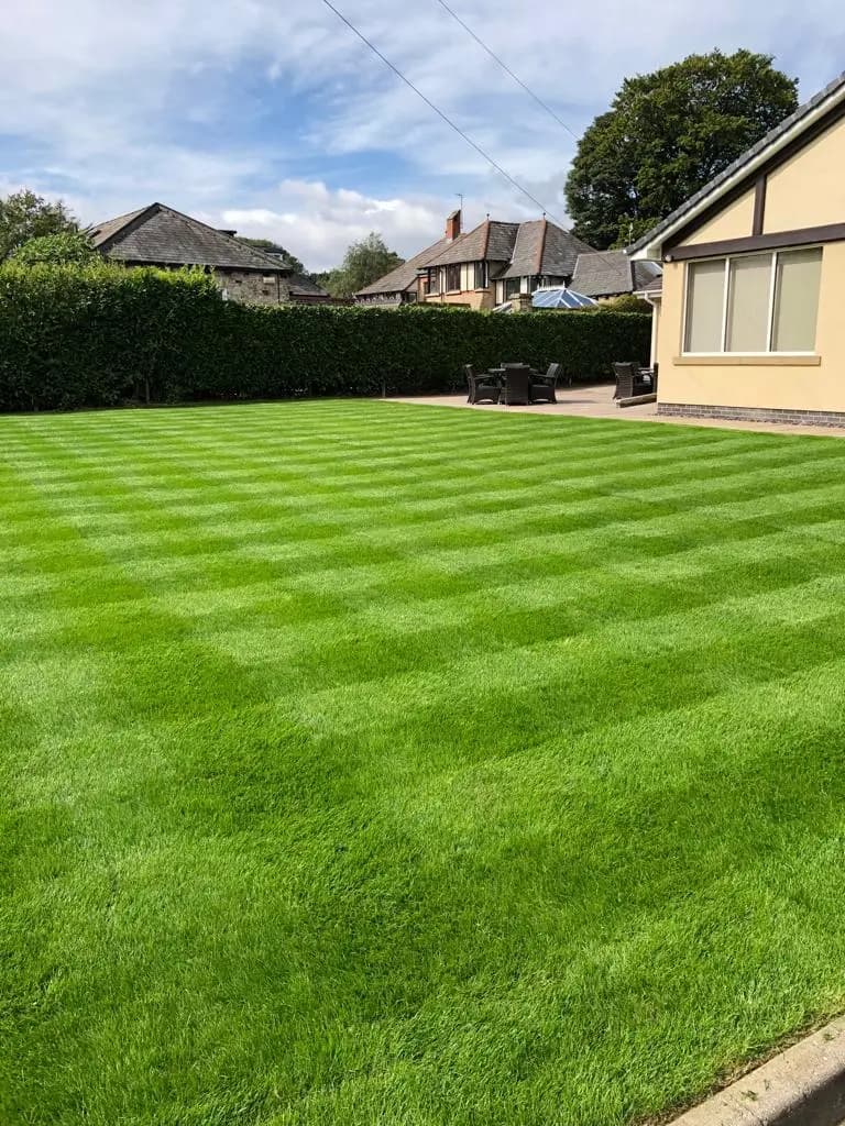 Green Scene Maintenance Services