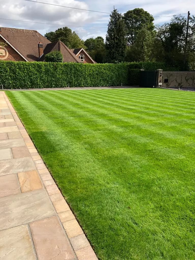 Green Scene Maintenance Services