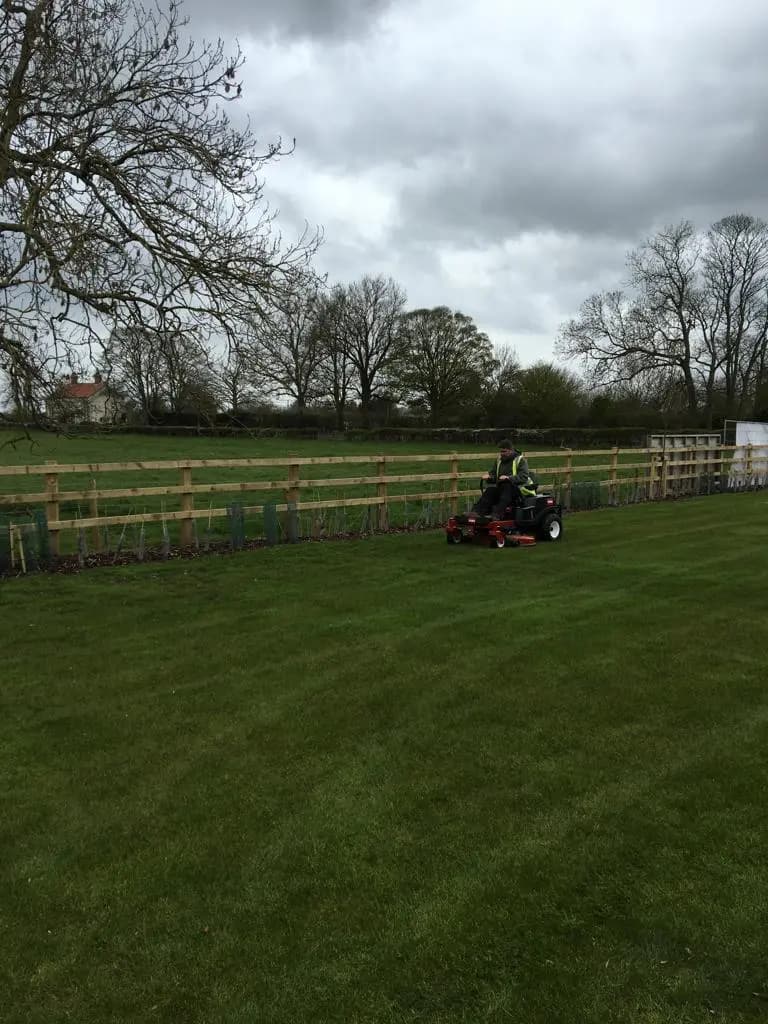 Green Scene Maintenance Services