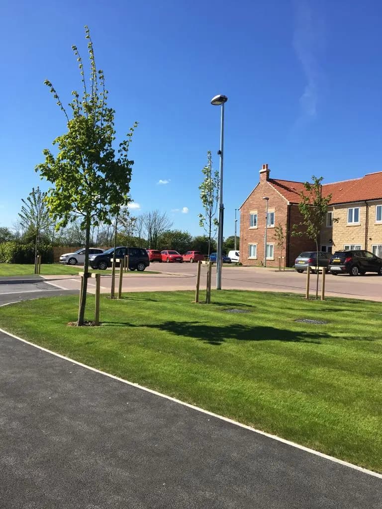 Green Scene Maintenance Services